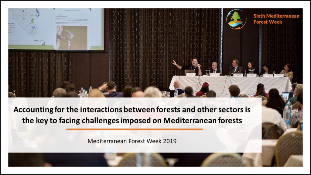Forest based solutions link with other sectors